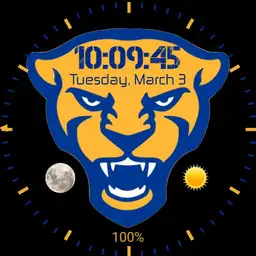 Pitt Panthers