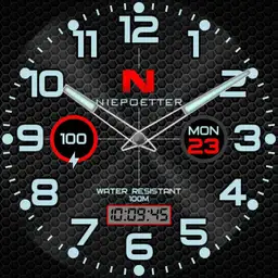 Niepoetter