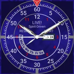 LIVE-SD BlueMetallic