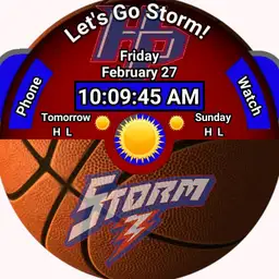 Storm Basketball Red Half