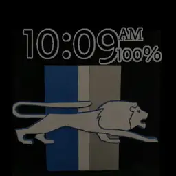 Detroit Lions