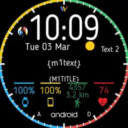 Wear OS 1.1.3 INFO Long
