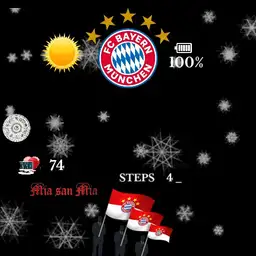 Fc Bayern 21.11.23