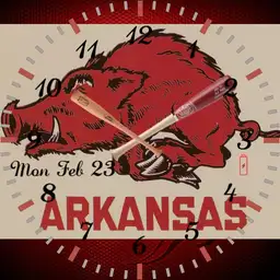 GO HOGS GO