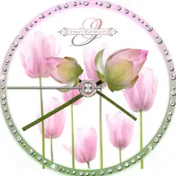Tulip pink