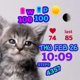 kitten love