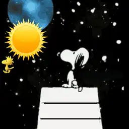 soppy space