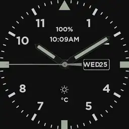 Field_Watch