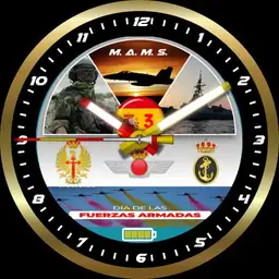 Da de las fuerzas armadas 2