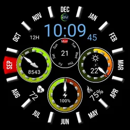 Danish Viking Watch