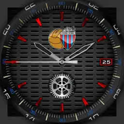 calcio catania semplice