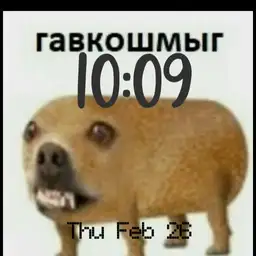 gavkoshmig