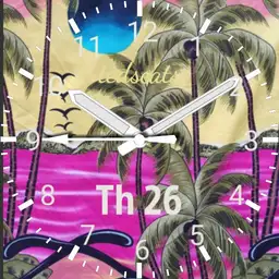 Hawaii 43