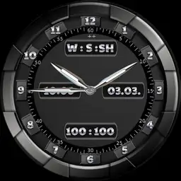 smartwatch