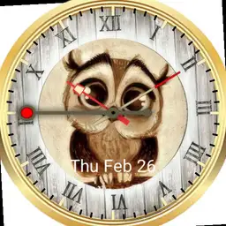 Night Owl