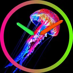 Jellyfish Jellyfish
