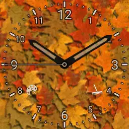 RD-Autumn