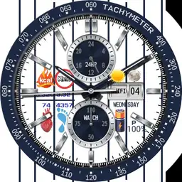 MLB Modular Racer Gym