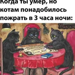 y8t7g