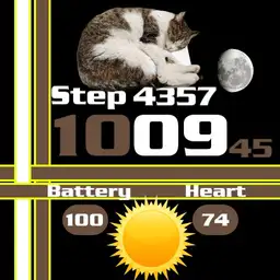 Cat sleep