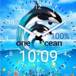 Sea World