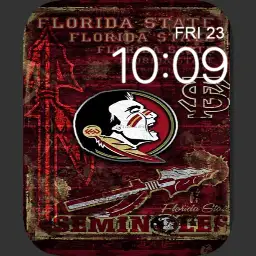 FSU pride