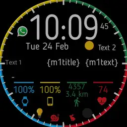 Wear OS 1.1.6 INFO