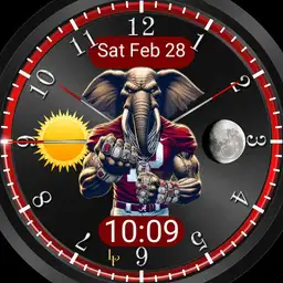 Tide Champion Chrono