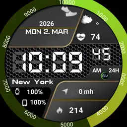 D.V watch