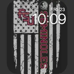 FSU flag