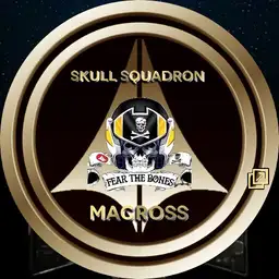 RoboTech Skull Squadron v3 P309
