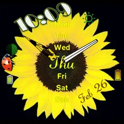sunflower days