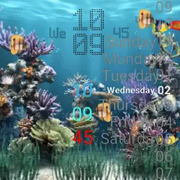Aquarium Watch Copy