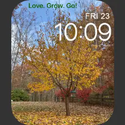 Fall Trees