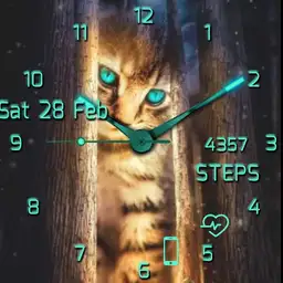 brit kitty kit