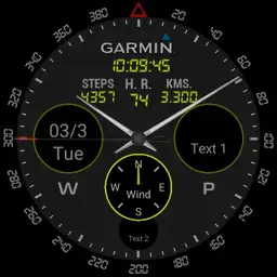 Garmin full info black for ticwatch