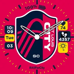 AllForCity