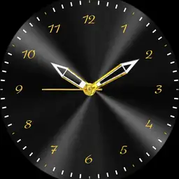 Luxury watch