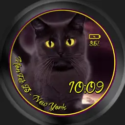 Haunted Halloween Cat