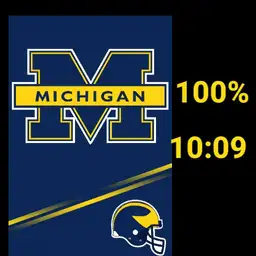 Michigan Wolverines