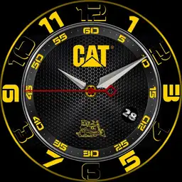 CAT-DINAMO 2