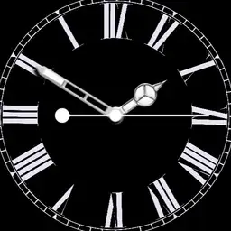 WDS Reverse Watch