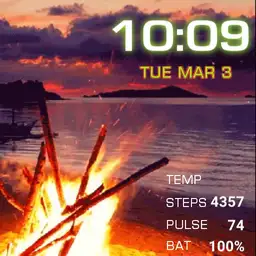 Beach campfire