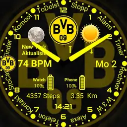 BVB09 Jamalau