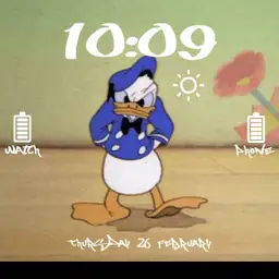 Donald duck