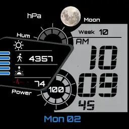 Modern LCD Lele Puma