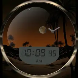 Desert Night