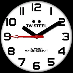 TW Steel Pilot Black and White Copy