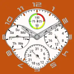TS watch