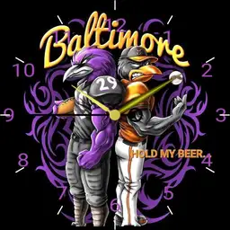 Baltimore Birds